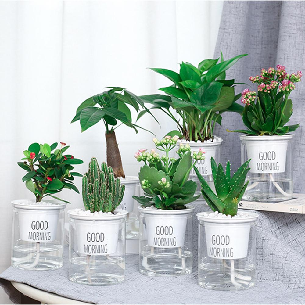 Chậu Hoa Thủy Canh Bằng Nhựa Trong Suốt Hình Tròn Dùng Trang Trí Văn Phòng