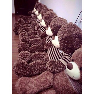 Gấu teddy 1m8