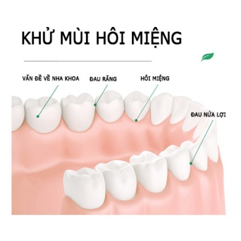 Nước súc miệng Bioaqua giảm tình trạng ố vàng khỏe nứa lợi giảm hôi miệng Princess Beauty Nội địa trung