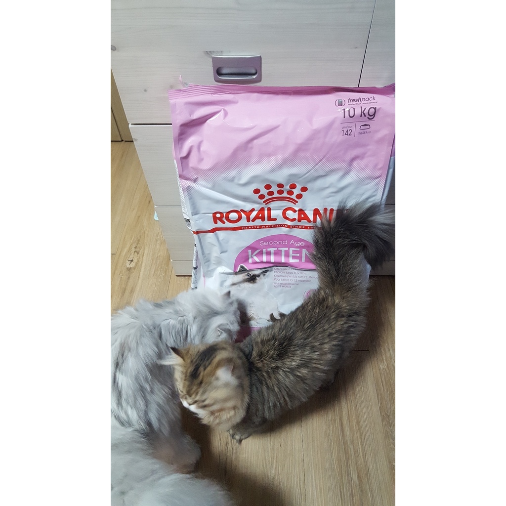 Hạt thức ăn Royal Canin Kitten dành cho mèo từ 3 tháng trở lên túi 10kg lớn nhất PET TOOLS