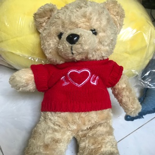 Gấu bông Teddy của Bích Trâm