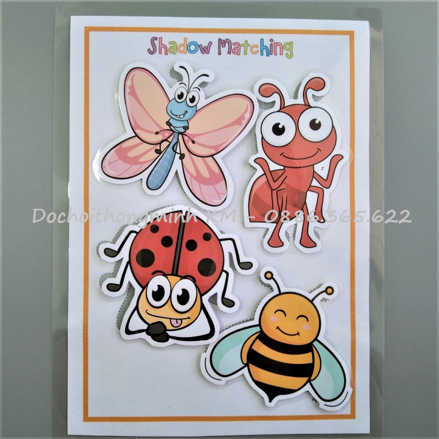 HỌC LIỆU - Matching tìm hình bóng 5 chủ đề hình ảnh lớn cho bé tập ghép