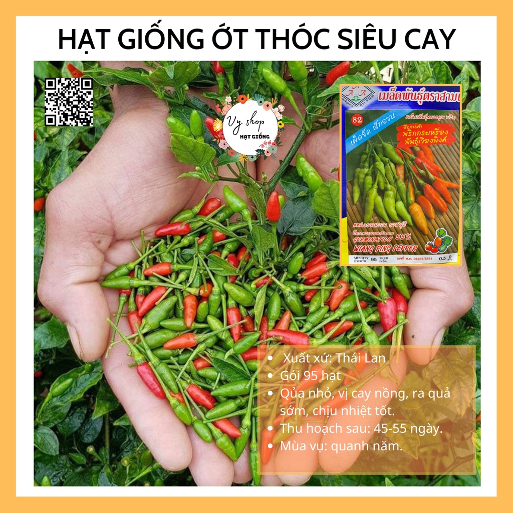 Hạt giống ớt thóc siêu cay Thái Lan