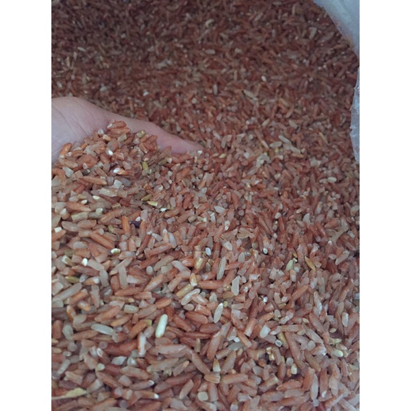 Gạo Lứt/Gạo Trắng Dẻo Ruộng Hạt Dài nguyên cám combo 3kg