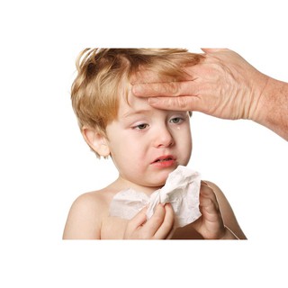 [NGUYÊN CHẤT 100%] Tinh dầu bưởi giải cảm Cold & Flu 10ml Scentastic