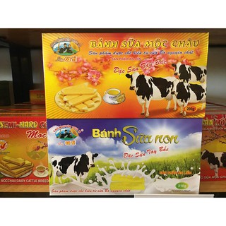 combo 2 bánh sữa vàng 4 bánh sữa non
