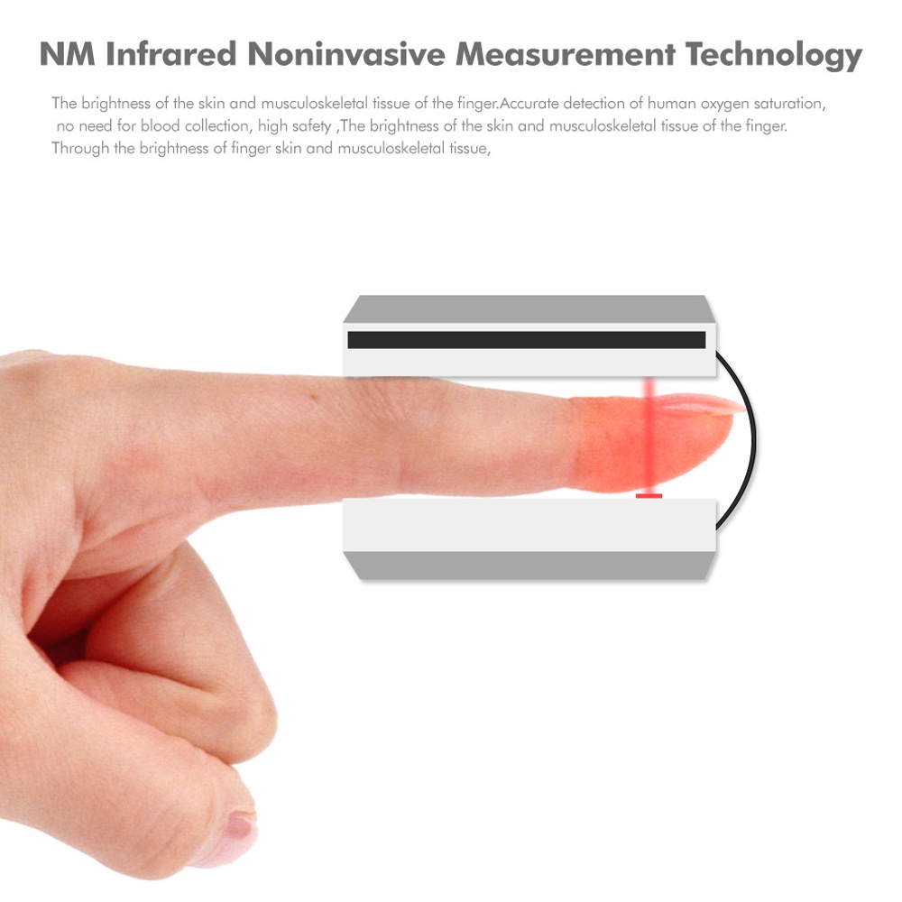 Fingertip Pulse Oximeter Oled Spo2 Pr Pi Blood Oxygen Pulse Monitor | BigBuy360 - bigbuy360.vn