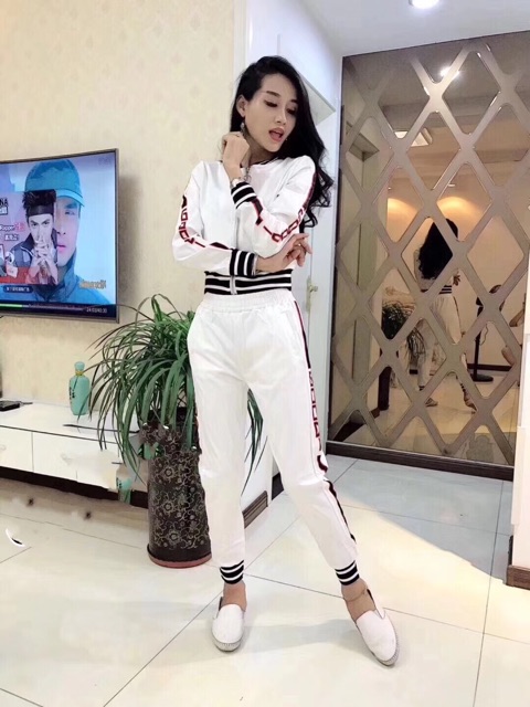 Sét thể thao cổ bomber