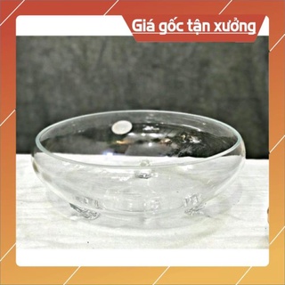 Ang thả cá có chân - Bát thủy tinh thả hoa, cá