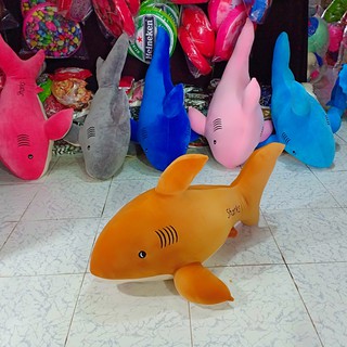 CÁ MẬP NHỒI BÔNG