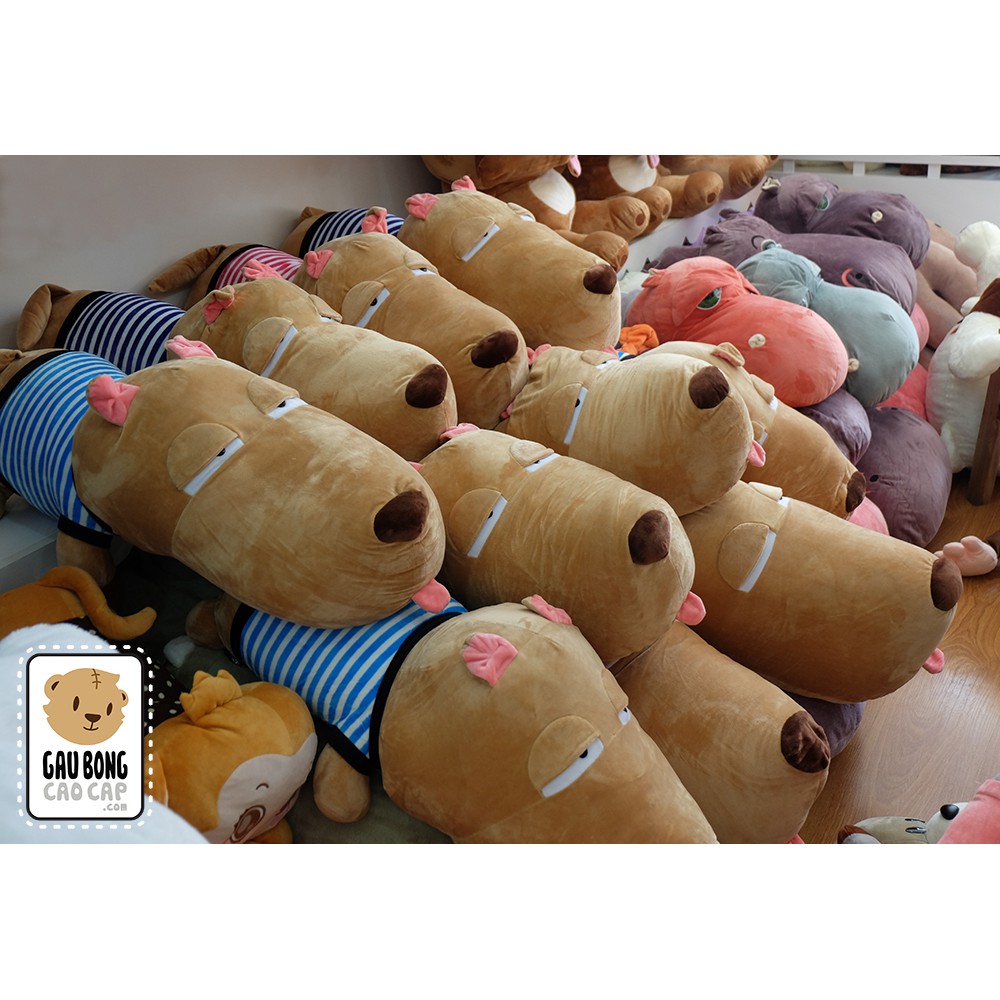 chó puco 85cm