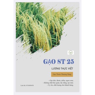 Gạo ST25 Gạo ngon nhất thế giới, đặc sản Sóc Trăng, Việt Nam