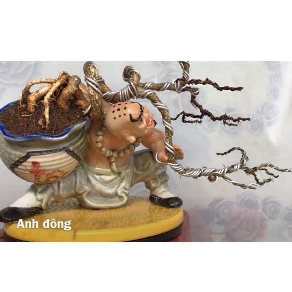 Chậu tượng la hán ôm vò