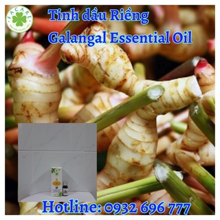 Tinh dầu riềng Galangal Essential Oil - 10ml/50ml/100ml