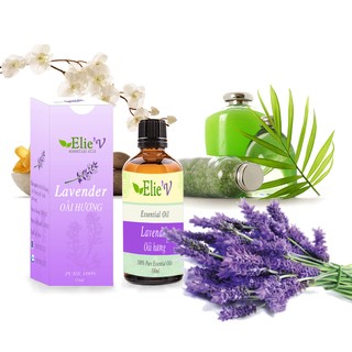 Tinh dầu Lavender nguyên chất 100ml