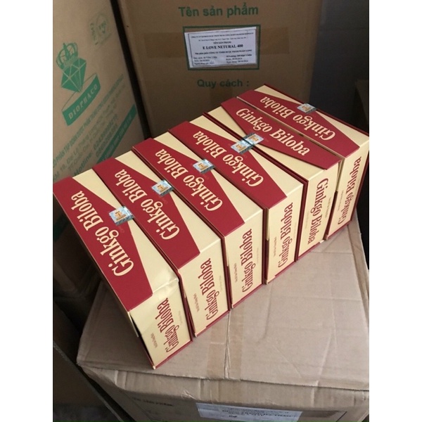 Viên uống bổ não thông mạch hoạt huyết dưỡng não Ginkgo Biloba 600mg hỗ trợ sức khoẻ an toàn 2 lọ x 30 viên