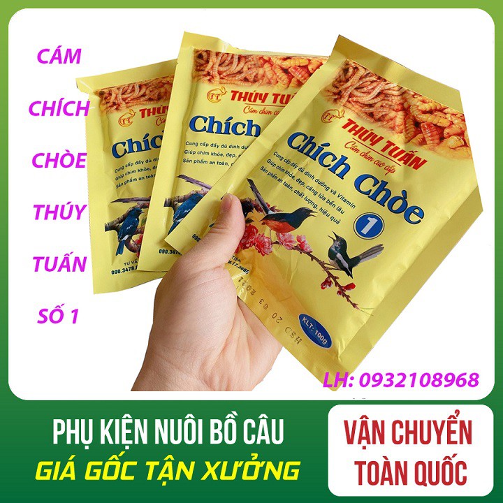 Cám cho chim Chích Chòe số 1