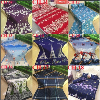 ( GIẢM MẠNH ) SÉT 4 MÓN CHĂN HÈ TRẦN BÔNG POLY TRÁI LÊ