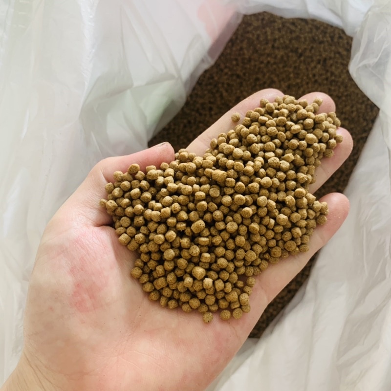 Cám cá đi câu 30% độ đạm dạng bột - 1000g
