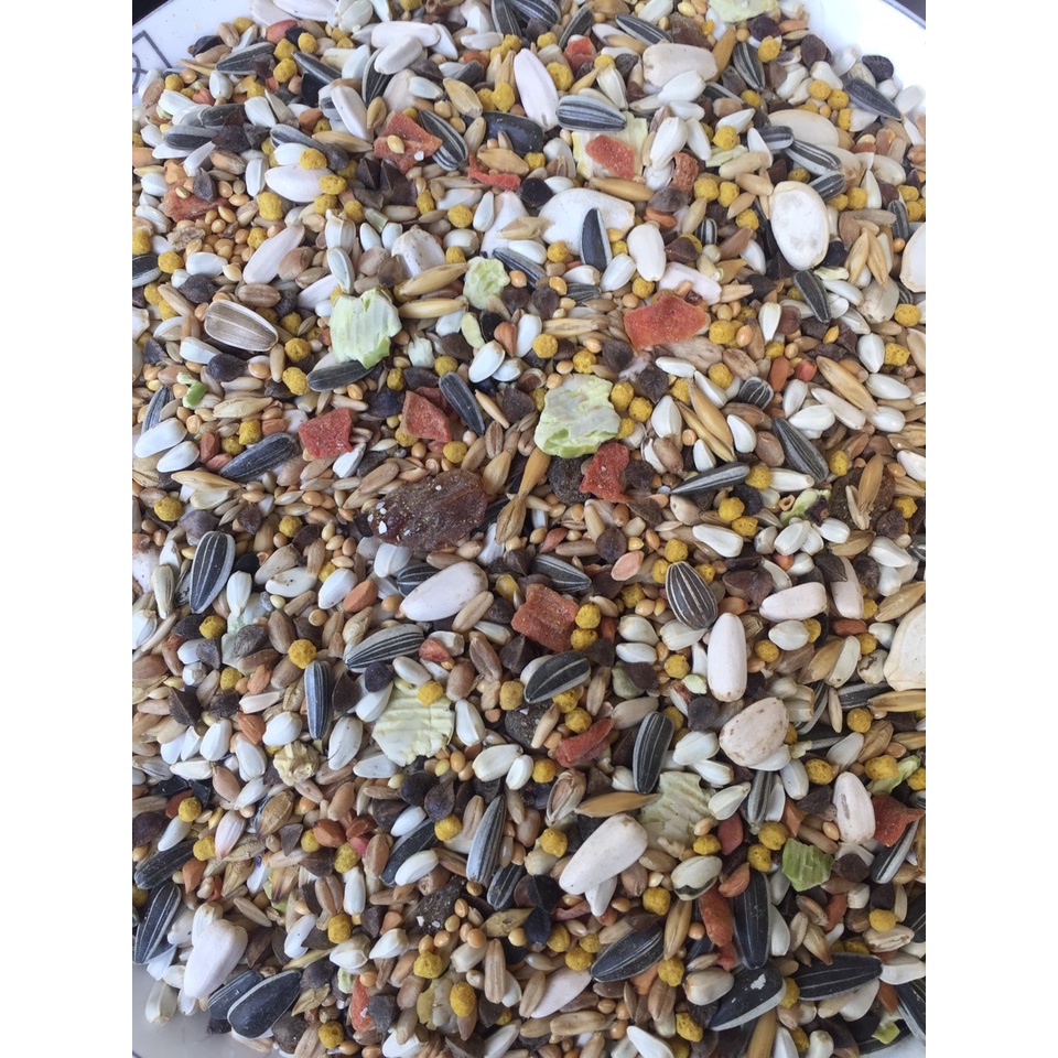 Hạt trộn vẹt ý Big Parakeets Energy Manitoba dành cho vẹt size trung như sun, ngực hồng, xích...