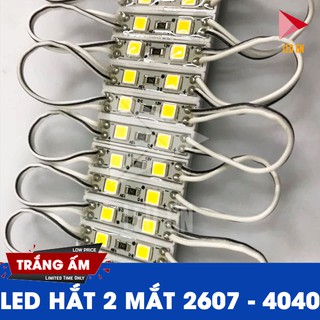 LED Hắt 2 Bóng 2607 - CHIP LED 4040 [ Vỉ 20 thanh ]