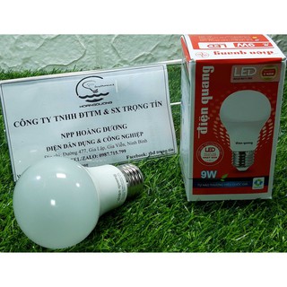 Đèn led bulb Điện Quang 9W BU11A60 (sáng trắng)