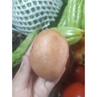 [NOW TPHCM] Rau củ tươi tphcm