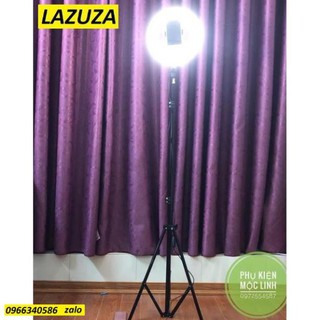 SALE 50% Đèn live stream size 26CM