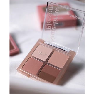 Bảng mắt 4 ô Peripera