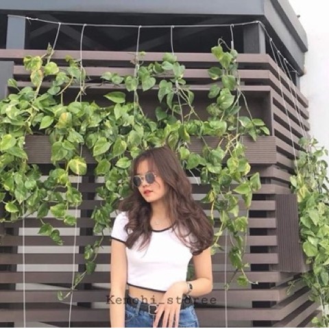 ÁO CROPTOP VIỀN CỔ SEXY | BigBuy360 - bigbuy360.vn