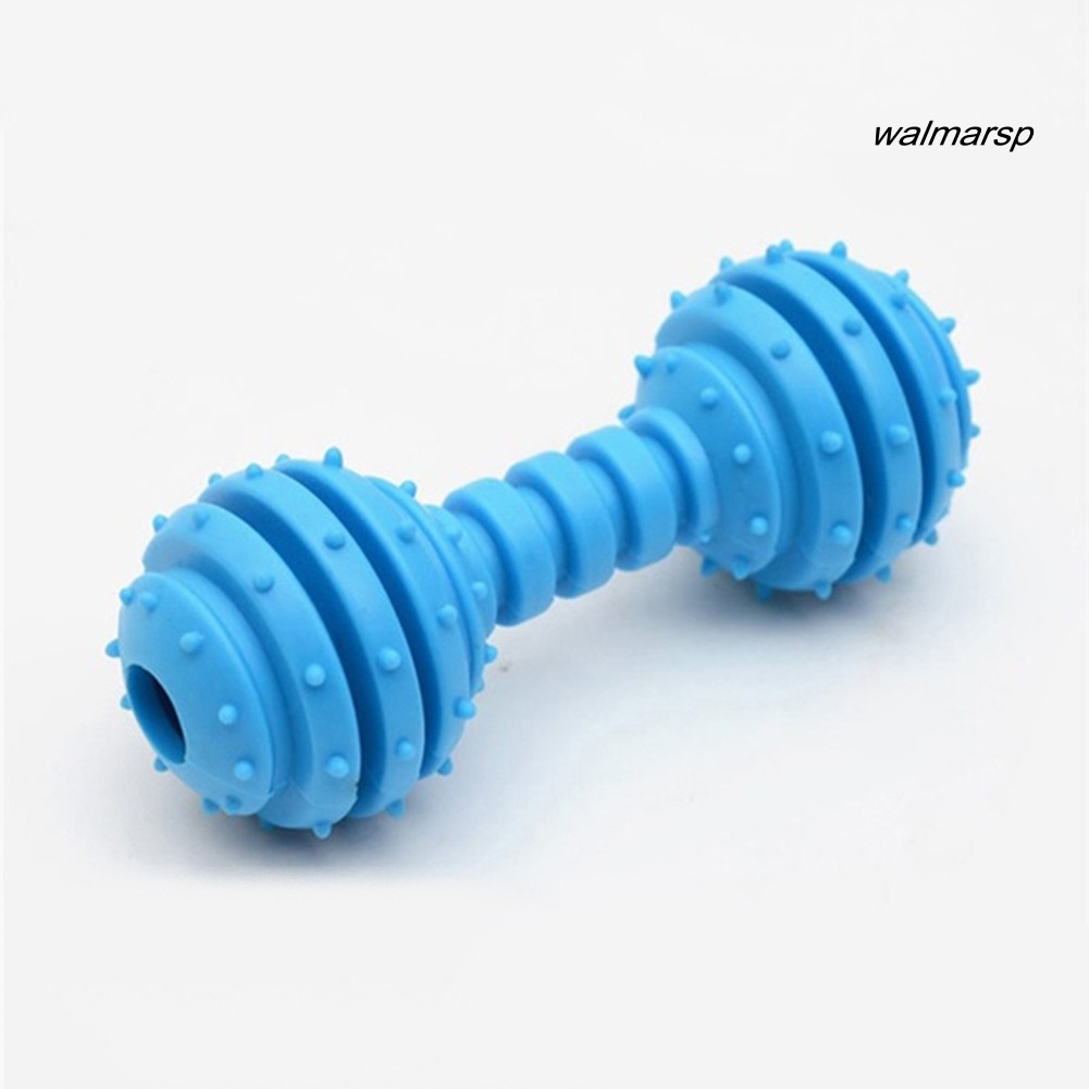 Đồ chơi tập nhai cho thú cưng dễ thương CREATIVE