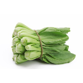  Gói 100g hạt giống cải thìa (cải chíp) cao sản - Nanuseeds