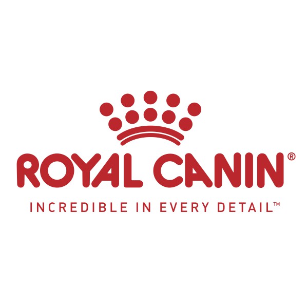 [Mã 99FMCGSALE giảm 8% đơn 500K] 10kg - Hạt Kitten 36 Royal Canin dành cho mèo con từ 4 - 12 tháng tuổi