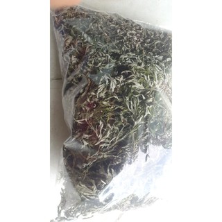 Lá ngải cứu khô 500g