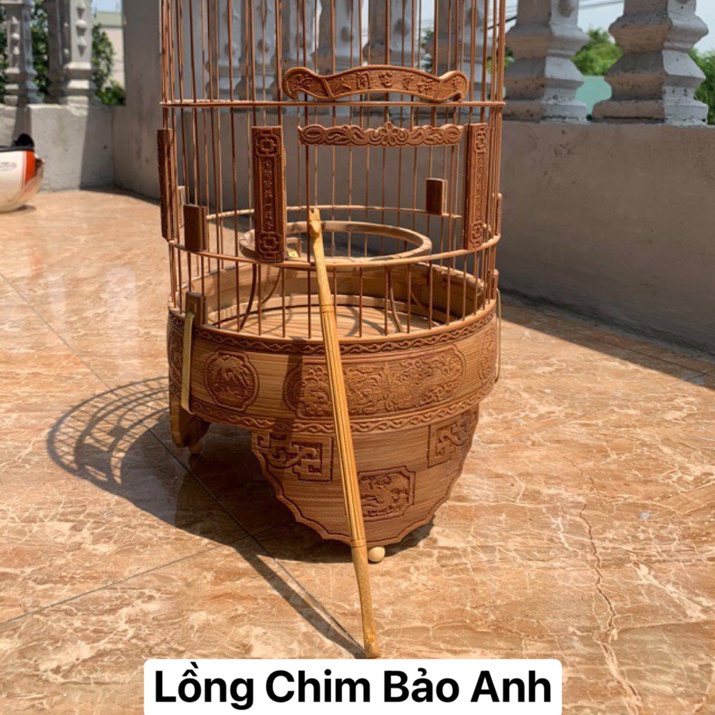 Cầu đứng đầu rồng chim khuyên , chào mào, vẹt - phụ kiện lồng chim rẻ đẹp