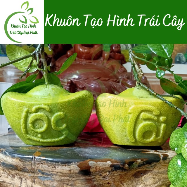 (Bưởi 1,2-1,8kg) Khuôn Thỏi Vàng Số 3 Cỡ Đại, Loại Dày 5 li, Khuôn Tạo Hình Trái Cây Chữ TÀI LỘC (Hàng Loại 1, bền đẹp)