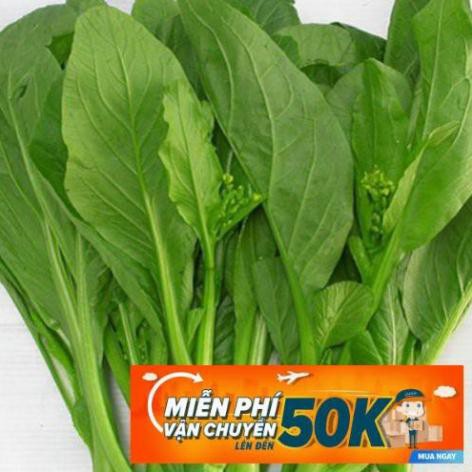 20g Hạt giống Cải ngồng