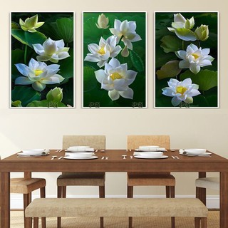 Tranh Tráng Gương khung COMPOZIT 40x60cm x 3 tranh - 3 hoa sen