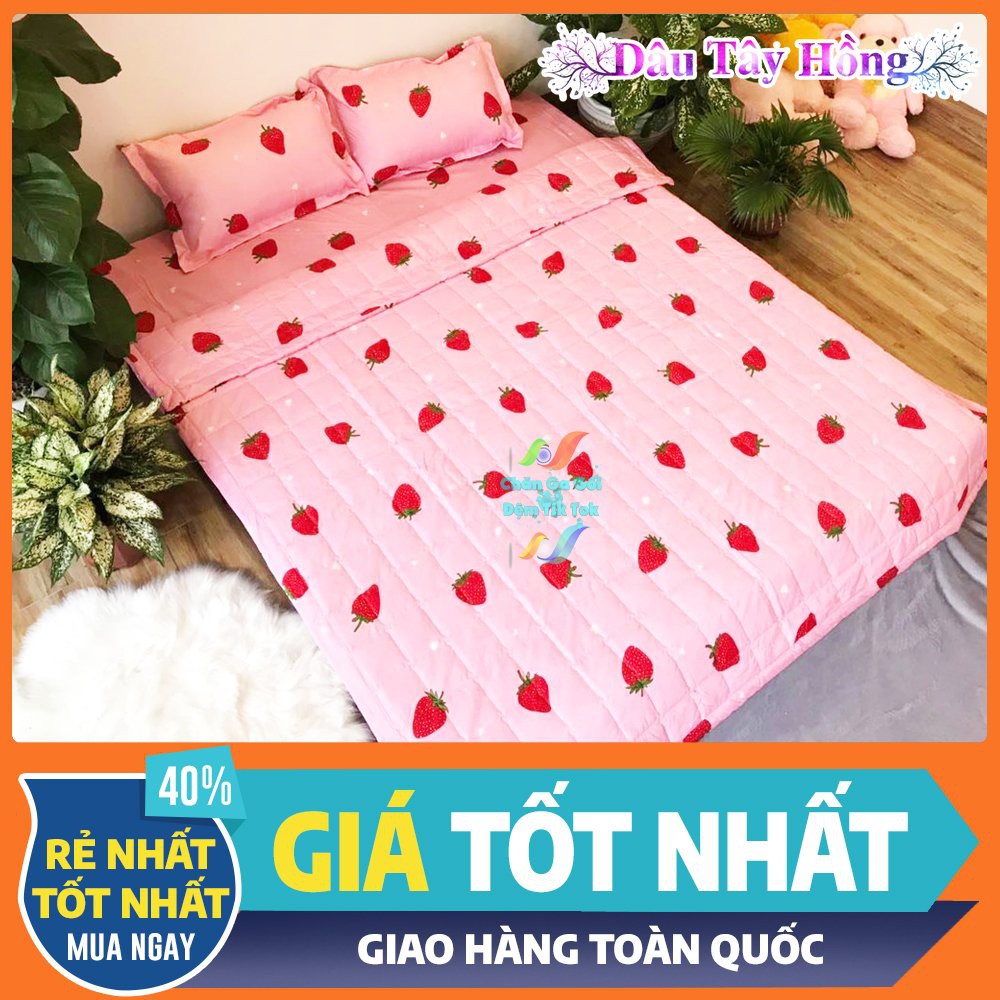 Mua 2 Tặng 3: Chăn Ga Dâu Tây Hồng - Tặng 2 Vỏ Gối Nằm Và 1 Vỏ Gối Ôm - Đủ Mọi Kích Thước