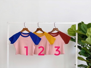 Áo Croptop Raglan Basic ( Ảnh Thật )