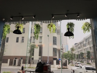 Chậu cây treo