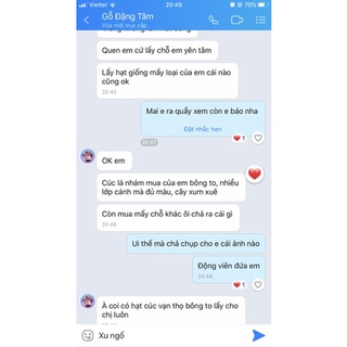 Hạt giống cúc lá nhám