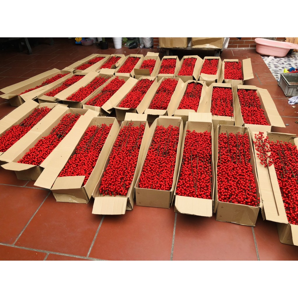 Đào đông đỏ cao cấp, một cành 12 nhánh hàng đẹp to tròn, hàng laoji 1 không dính quả