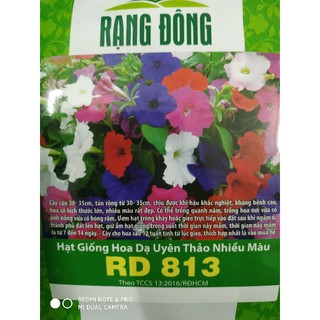 Hạt giống Hoa Dạ uyên thảo nhiều màu ❤️FREESHIP XTRA❤️