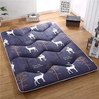 Nệm gấp văn phòng 1,5x2m