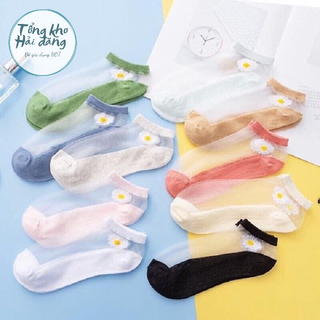 Set 10 tất nữ cổ ngắn hoa cúc dễ thương