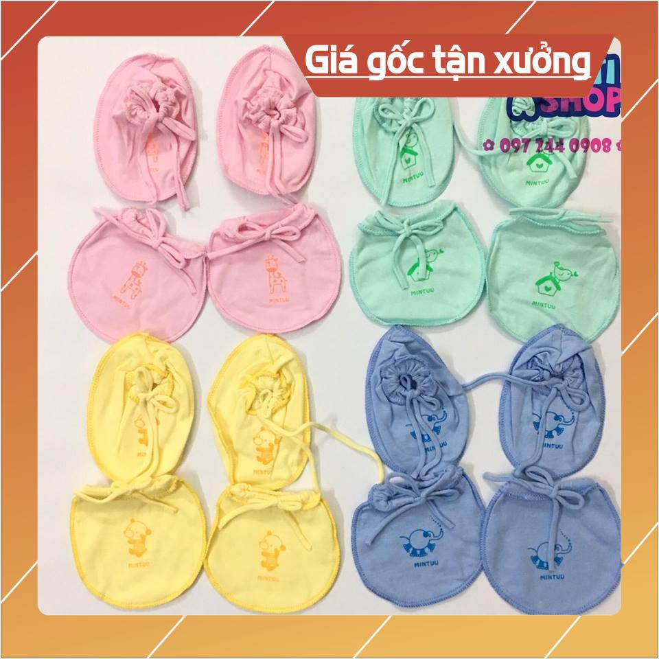 SET BAO TAY CHÂN MINTU