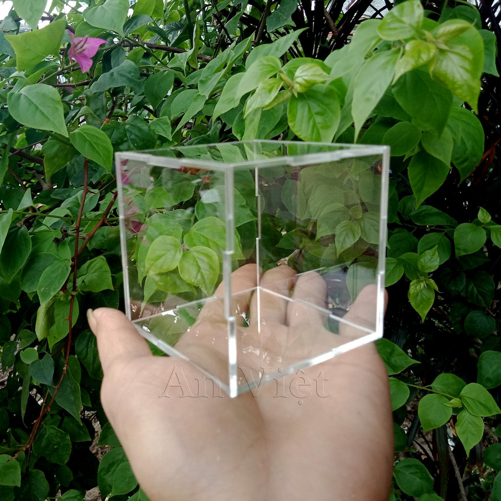 Hộp trưng bày mô hình combo 6 tấm mica dùng làm hộp mica chống bụi