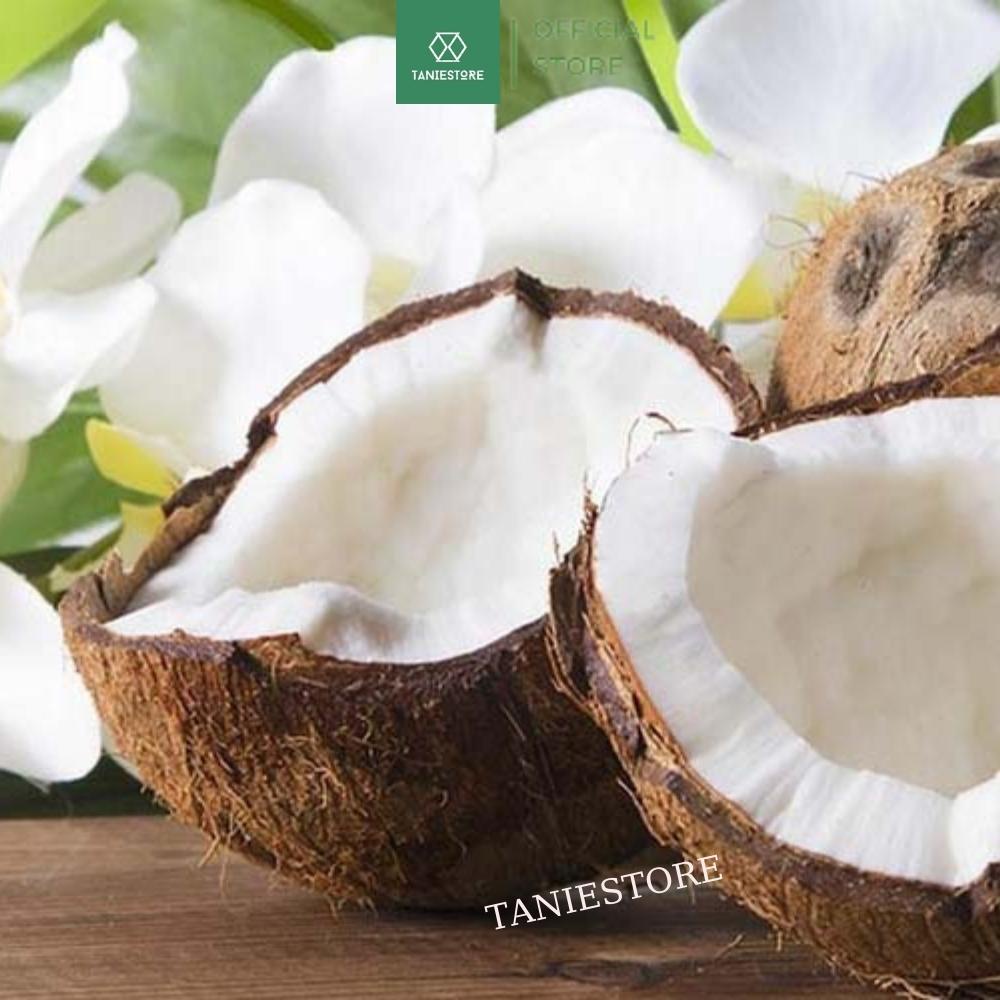 Dừa khô sấy giòn cao cấp ăn vặt đặc sản Bến Tre bổ dưỡng thơm ngon tốt cho sức khỏe