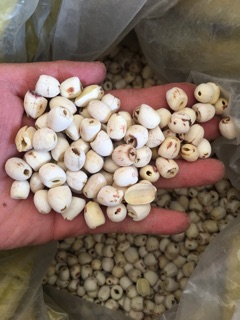 Sét chè dưỡng nhan mix 13 vị 200g